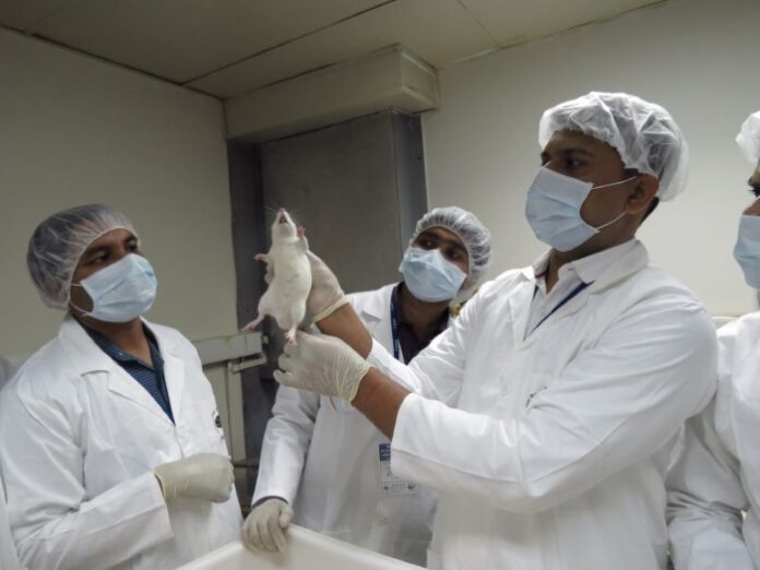 Empowering Animal Research in Africa: PAN-LASE's Impact on Lab Animal Science Ethics