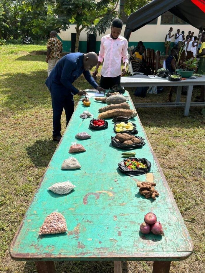Sustainable Agriculture in Ghana: Empowering Local Communities through the Adawso Pilot Community Seed Bank