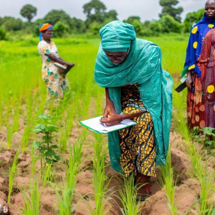 Unlocking Soil's Carbon Storage: Sustainable Farming Practices for Climate Resilience and Agricultural Prosperity