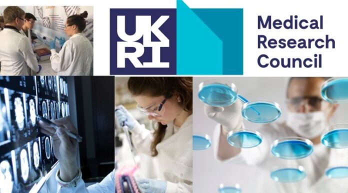 Empowering African Research: Funding and Opportunities for Global Health Equity