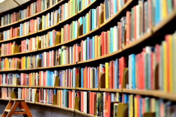 Short-Term Fellowship Opportunity in France for Postdoctoral Researchers from the Horn of Africa: Apply Now!