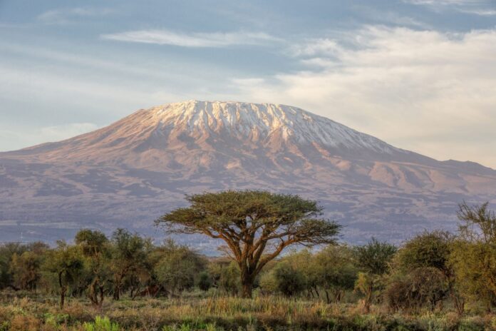 Unlocking Economic Growth: Impact of High-Speed Internet on Foreign Direct Investment in Africa