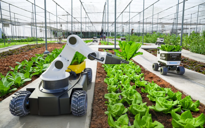 Enhancing Agricultural Resilience and Nutrition in Senegal: Insights from Simulation Models