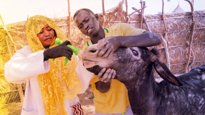 Livestock Solutions for Sustainable Agri-Food Systems Transformation in Africa: Challenges, Opportunities, and Strategies