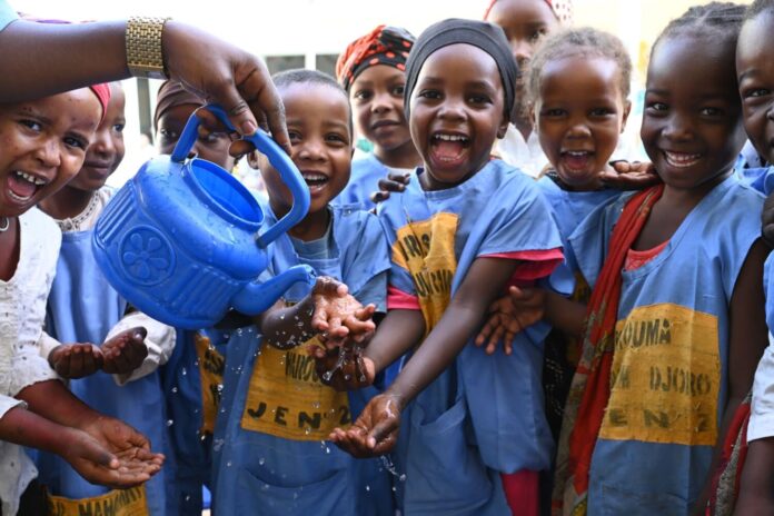 Unlocking Disaster Response: Earth Observation's Role in Water, Sanitation, and Hygiene (WASH) - A Sustainability Study