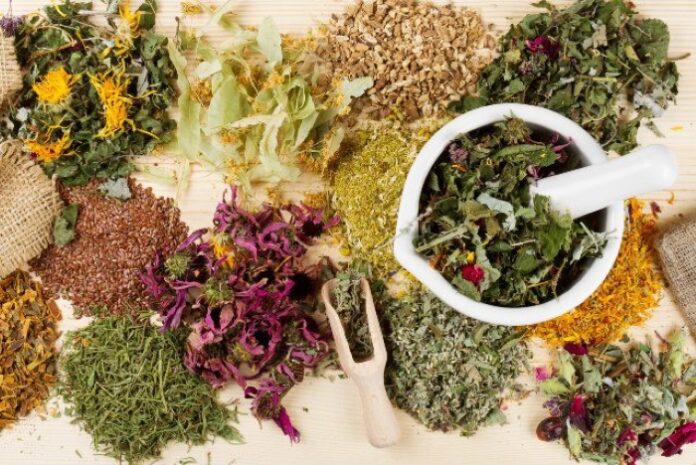 Nyarkotey Herbal Pharma: Pioneering Natural Medicine Integration in Ghana's Healthcare Landscape