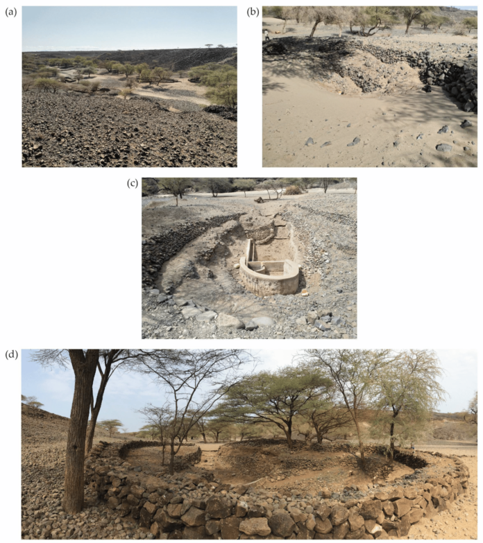 Script-Based Satellite Image Analysis Reveals Land Cover Changes in West Africa: Implications for Environmental Management and Climate Action