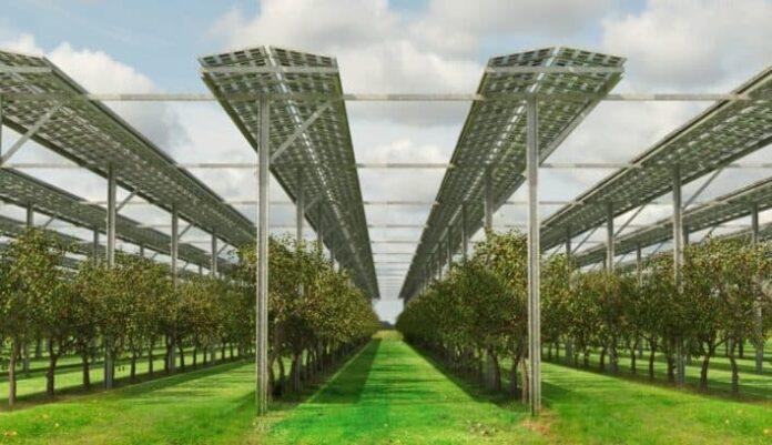 Unlocking Agricultural Innovation: NAMPO 2024 Embraces the Digital Age