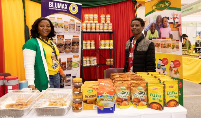 Unlocking Entrepreneurship in Africa: Addressing Challenges and Driving Growth for Inclusive Development
