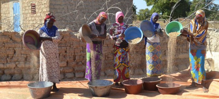 Unlocking Nigeria's Agricultural Potential: Strategies for Food Security in Africa
