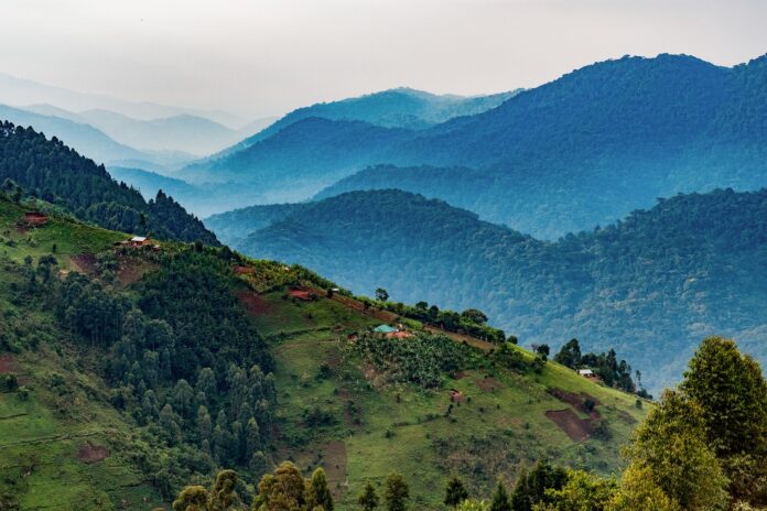 Unlocking Sustainable Conservation: Insights from Community Perspectives in East Africa's Virunga Landscape
