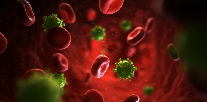 Unlocking the Silent Crisis: HIV Among Older Adults in Rural South Africa - Insights from Haalsa Project