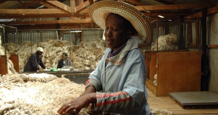 Improving Mohair Fiber Quality: Using the FibreLux Micron Meter for Accurate On-Farm Measurement