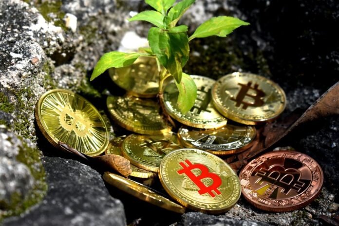 Digital Currency Adoption in Africa: A Comprehensive Review of Opportunities, Challenges, and Global Comparisons