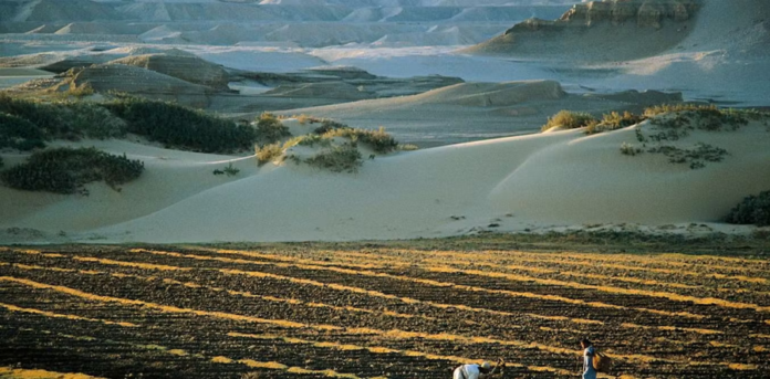 How Human Capital Investment Can Mitigate the Negative Impact of Natural Resource Rents on Welfare in Sub-Saharan Africa
