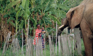 The Human Wildlife Co-Existence Research Network (HWCRN) has launched in Eastern Africa to promote multi-stakeholder collaborations and bolster progress on human-wildlife relationships on the continent.
