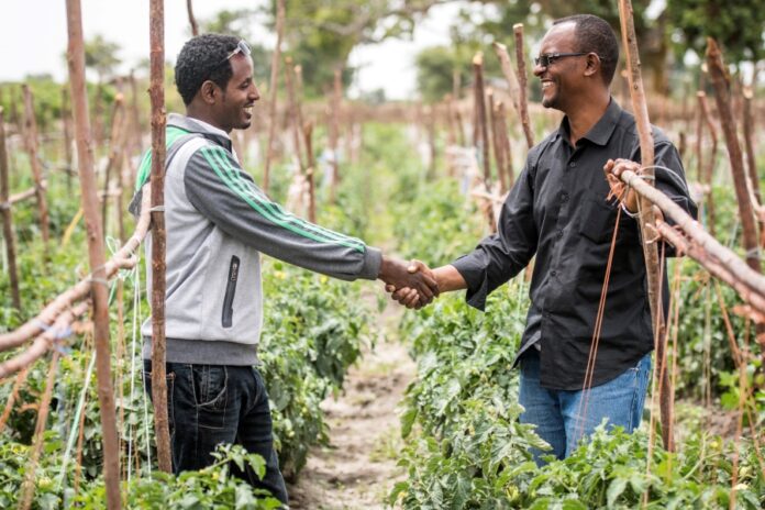 Post-Doctoral Research Opportunity at Lincoln Institute: Sustainable Agri-Food Systems in Kenya