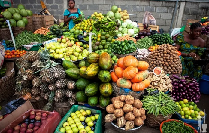 Unlocking Africa's Potential: Navigating the Complexities of GM Crop Adoption for Sustainable Agriculture and Food Security