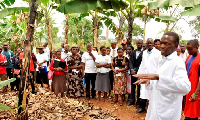 Egerton and Makerere Universities Lead Climate-Smart Agriculture Initiatives to Boost Food Security in East Africa