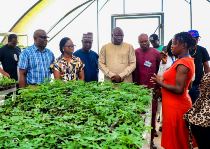 Enhancing Food Security in Africa: TAAT and VACS Partner for Sustainable Agriculture and Soil Health