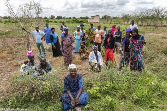 Enhancing Gender Equality in Cybersecurity: The Crucial Role of Private Sector Technologies