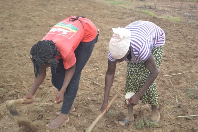 Addressing Climate Change in Ghana: Building Resilient Agriculture and Sustainable Development Pathways