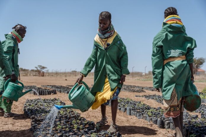 Climate Resilience: How Leshan Koisikir is Transforming Pastoral Communities in Narok, Kenya