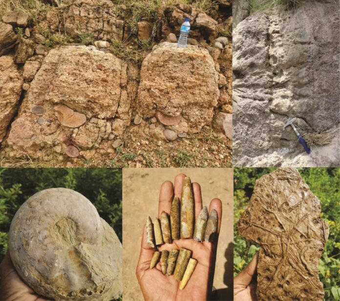 Indigenous Knowledge of Fossils in Africa: Preserving Geomyths and Cultural Heritage for Geoheritage Conservation