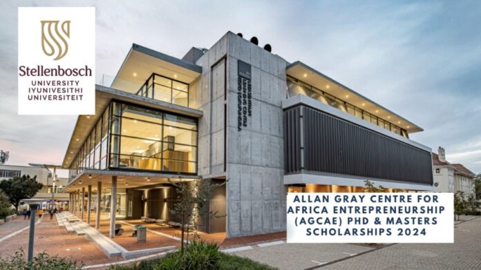 Allan Gray Centre for Africa Entrepreneurship 2024 Postdoctoral Scholarships: Apply Now for Fully-Funded Opportunities