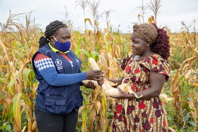 Depoliticizing Biotechnology Research: Key Insights from the Kigali Strategic Dialogue on Agricultural Technologies in Africa