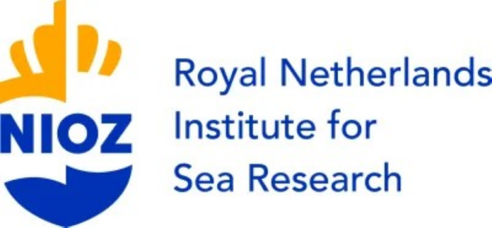 Postdoc Position: Biota-Sediment Feedback Research in the Wadden Sea – NIOZ & Utrecht University | Apply by October 8, 2024