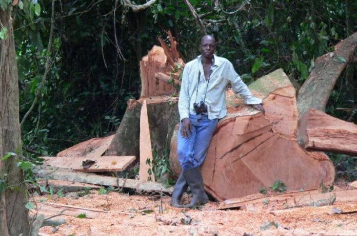 Community-Based Natural Resource Management in Ghana: Insights, Challenges, and Conservation Outcomes