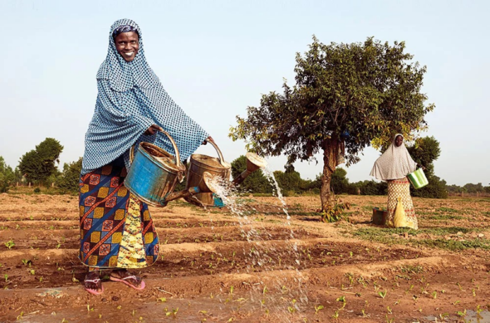 Rural Development Challenges: Applying Management Theories for Sustainable Solutions