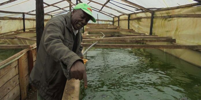 Transforming Rural Livelihoods: The Impact of Aquaculture in Seke Rural District, Zimbabwe