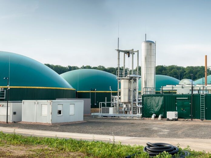 Unlocking Energy Access: The Economic Viability of Decentralized Biogas Plants in Sub-Saharan Africa