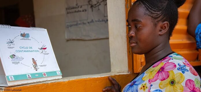 Challenges and Opportunities in Advancing Bioinformatics Proficiency Among African Students: A Comprehensive Study