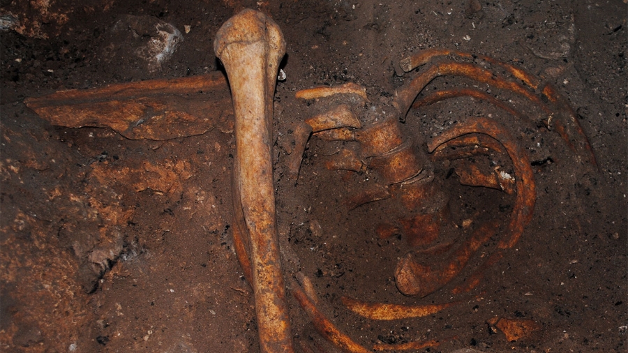 Advancing DNA and Ancient DNA Research in Africa: Challenges, Progress, and Future Directions