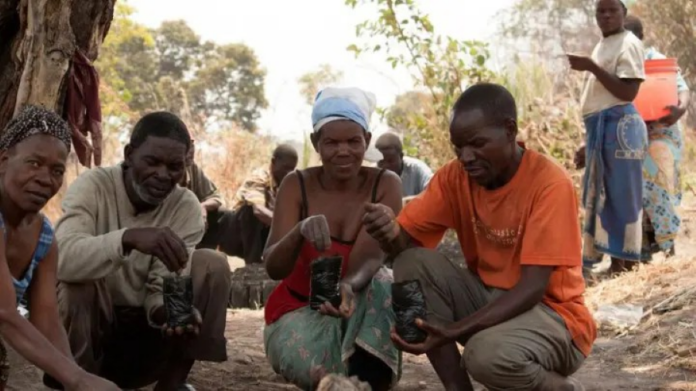 Revolutionizing Climate Crisis Management in Africa: Remote Sensing Applications for Risk Mapping, Resilience, and Humanitarian Response