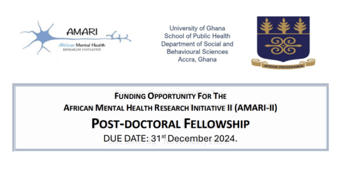 AMARI-II Post-Doctoral Fellowship 2024/2025: Advance Mental Health Research in Africa