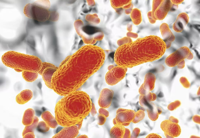 Antimicrobial Resistance in Africa: The Silent Epidemic Threatening Millions