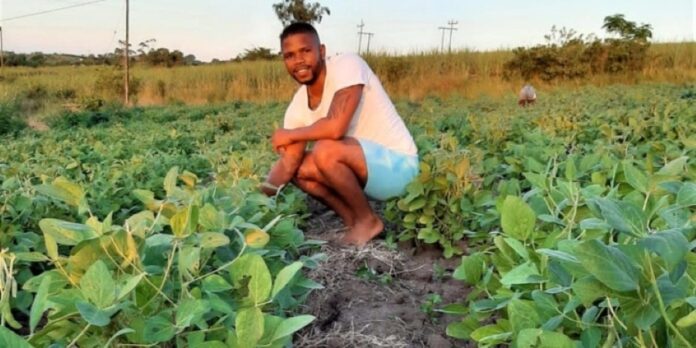 Unlocking the Potential of Tetragonia decumbens (Dune Spinach): Nutritional, Therapeutic, and Economic Benefits for Bio-Saline Agriculture in South Africa