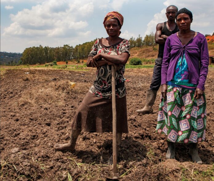A Scoping Review on Exploring Job Search Strategies for Unemployed Youth: Implications for the Agro Sector in Sub-Saharan Africa