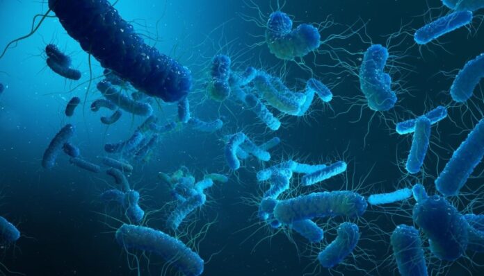 Rising Antibiotic Resistance in Shigella: A Systematic Review of ESBL and Carbapenemase-Producing Strains in Africa