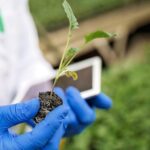 LEAWEF Multilateral Research Programme: Funding Call for Sustainable Water, Energy & Food Solutions