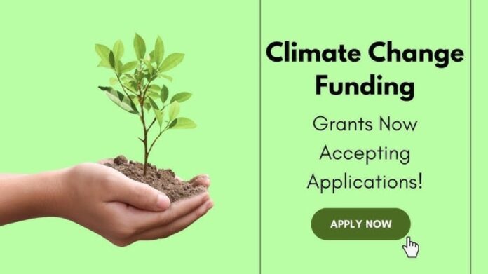 FGMC2 Grants: Apply for £1M+ Funding to Strengthen Global Forest Governance & Climate Action