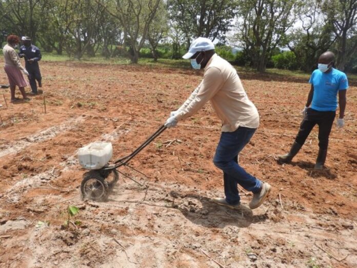 Key Drivers of Soil Fertility Management Adoption in Africa: How Innovativeness and Knowledge Shape Smallholder Farming