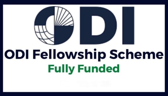 ODI Fellowship Scheme 2025–2027: Apply Now for a £32,600 Per Year Global Policy Role