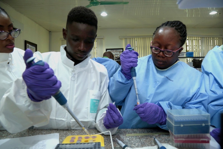 Empowering Genomics Research in Africa: Bioinformatics Workshop Boosts AMR Surveillance Skills Using Open Web Tools