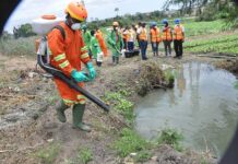 Elevating Larval Source Management: A Key Strategy to Enhance Malaria Control and Combat Vector-Borne Diseases in Africa Elevating Larval Source Management: A Key Strategy to Enhance Malaria Control and Combat Vector-Borne Diseases in Africa