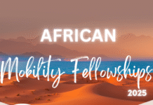 PAGES African Mobility Fellowship 2025: Funding for Early-Career Researchers in Paleoscience Across Africa PAGES African Mobility Fellowship 2025: Funding for Early-Career Researchers in Paleoscience Across Africa